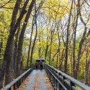 계남공원 이미지