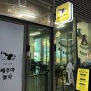 배추야놀자