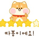 래디언트 남포 이미지