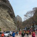 천연염색머리방 - 전주시 완산구 효동2길 9 | 천연염색머리방