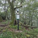 지리산동물병원 펫노트