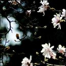 미소와행복 이미지