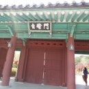 강릉교동짬뽕 이미지