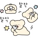애니카랜드 삼송점 이미지