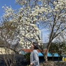 기수농장 | 2026 부캐힐링투어 프로그램 후기