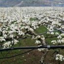 덕천농장 이미지