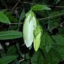 영동물소리민박 이미지