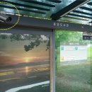 민원버스정류장 이미지