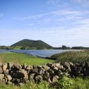 보리와철새 이미지