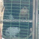 2488 | [안성 원곡 카페] 가천2488 : 분위기 좋은 한옥 카페 내돈내산 솔직후기