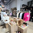 UGG | 호주 시드니 여행 기념품 UGG 어그 세일 가격 구매 후기