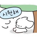 종합크린 이미지