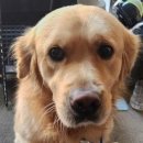 우금티로 이미지