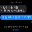 백슬동물병원 이미지