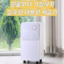 롯데부분경정비업소 | 롯데이라이프 제습기 추천 + 원룸부터 거실까지 실속형 대용량 제습기 후기