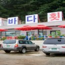 장흥숲길캠핑장 이미지