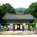 예향의 숲 이미지