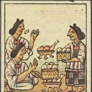 화산약초(북부점) | 아스텍 문명(아즈텍 문명)