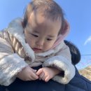 더팜존 네이버블로그