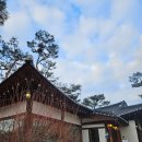 조가네 | 원주 판부면 서곡리 맛집, 조가네 갑오징어 외식 후기