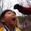 새충북어린이집 이미지