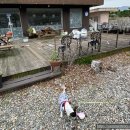 남산공원 일주로 이미지