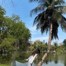 학운공원 육교 밑 | 방콕 여행 4일차 일정ㅣ노스이스트 맛집부터 엠스피어·터미널21·SW1 Market 야시장까지 코스