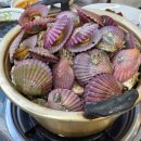 (주)평화 | 목포 굴찜 무한리필 굴라면 돈까스 후기 왕새우직판장 평화광장