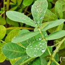 워라밸 게스트하우스 이미지