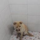 수성119안전센터 이미지