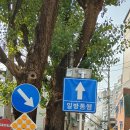 정릉13 이미지