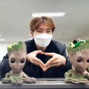 샤이닝블로썸