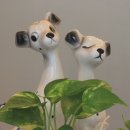 뜨레돌체 - 인제군 설악로 3220 | 뜨레돌체