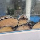 전남회타운 이미지