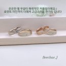 비채우리