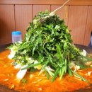 산양중학교 | 태백맛집 태백닭갈비 몽토랑 산양목장