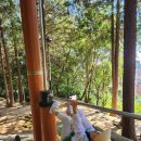 수정산가족체육공원 3(주차장) 이미지