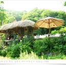 하이디(주) 이미지