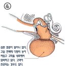 뉴월드 동물병원 이미지