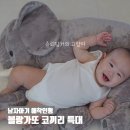 코끼리세탁 | 블랑가또 코끼리 특대 남자아기 애착인형 세탁 및 후기