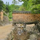 겸재 정선과 폴 세잔느 | 우산을 든 세 여인 2 _ 마리 브라크몽