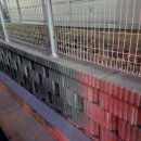 이대연 행정사 이미지