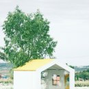 오늘여기 이미지