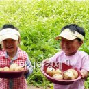 조성초동친구어린이집 이미지