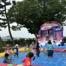 초락초교 당진신문