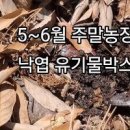 텃밭 가꾸기 (땅심키우기! 땅심높이기! 땅심기르기!) *친환경 낙엽퇴비 유기물과 미생물 이미지