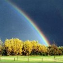 예스(YES)365 이미지