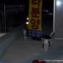 알콩달콩 카페 이미지