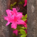 분토골어린이공원 이미지