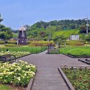 대청호 자연수변공원 이미지